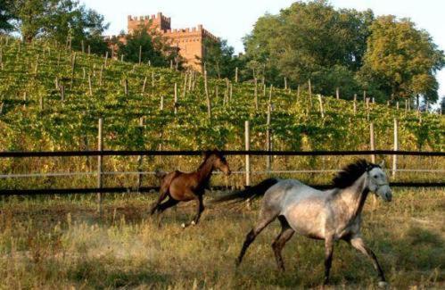 La Cascina Del Castello Villa Asti Exterior photo